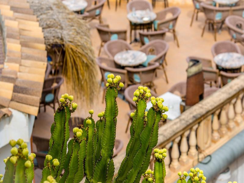 Hotel Playas De Paguera Peguera Dış mekan fotoğraf